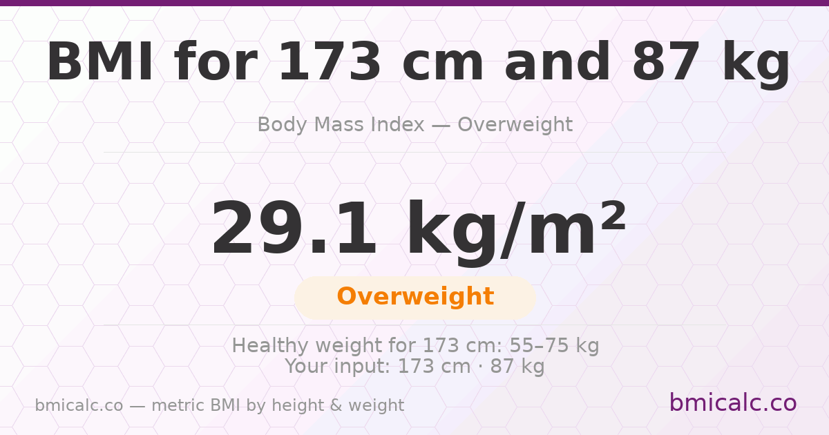 BMI 173 cm 87 Kilograms 70 years woman — BMI 29.1 (overweight).