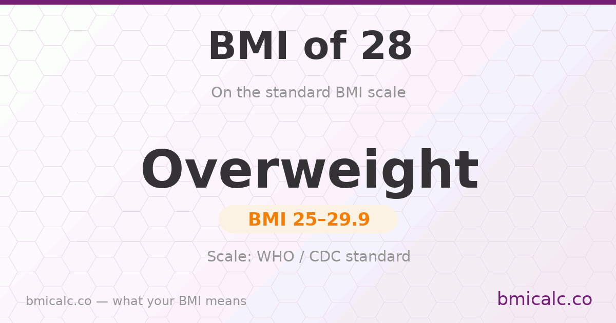 A BMI of 28 is overweight on the standard BMI scale. See what it means by age and sex.